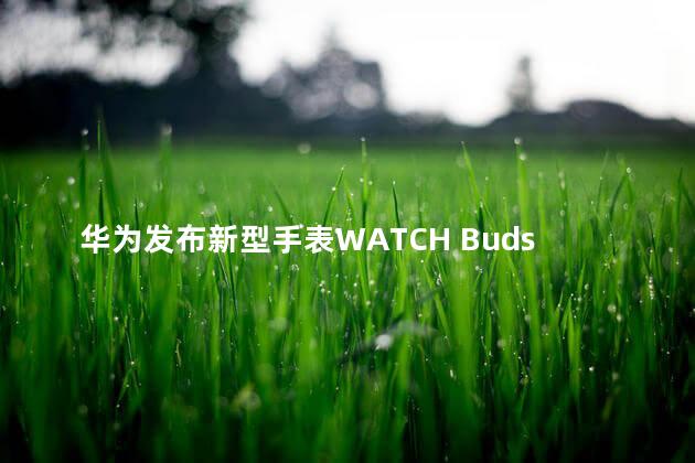 华为发布新型手表WATCH Buds